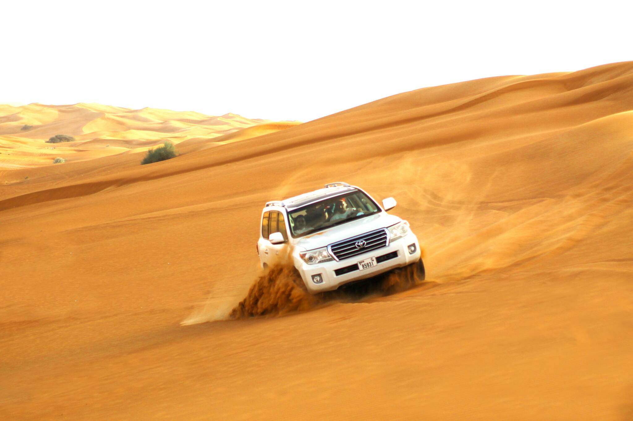 Dune Bashing